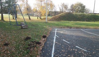 Radovi na terenu u parku u Bikovu traju dva meseca