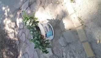 (kako funkcioniše) Odnošenje smeća?