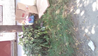 (kako funkcioniše) Odnošenje smeća?