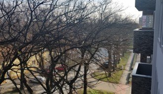 Smeće na drvetu ispred zgrade