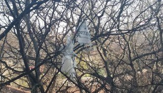 Smeće na drvetu ispred zgrade