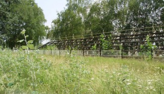 Sportski tereni na Paliću