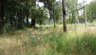 Sportski tereni na Paliću