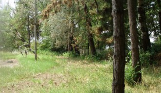 Sportski tereni na Paliću