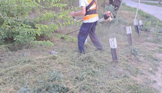 Nepregledan prelaz preko pruge u Kozaračkoj ulici (rastinje)