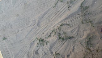 Kireška ulica i posle mnogo apela u još gorem stanju