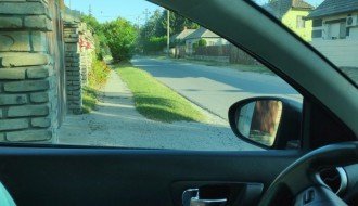 Drveće i ostalo rastinje ometa preglednost u saobraćaju (ulice Proleterskih brigada i Henrika Sjenkjevića)