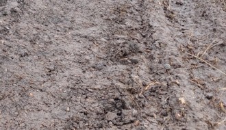 Meštani jednog dela Đurđina ostali odsečeni od ostatka sela