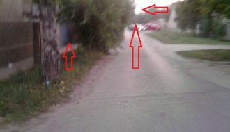 Razgranate grane u ulici Nade Dimić