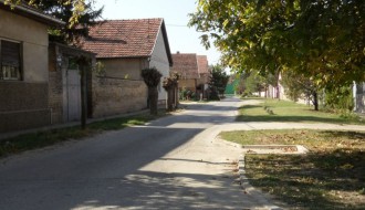 Razgranate grane u ulici Nade Dimić