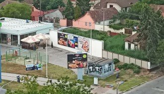 Ambrozija dva metra visine na privatnom posedu na Prozivci