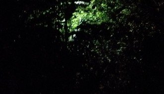 U selu Gabrić ulična rasveta zarasla u krošnje, neki stubovi srušeni