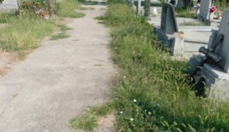 Visoka trava na groblju u Aleksandrovu