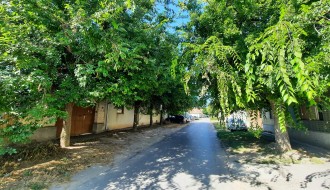 Drveće u Ulici Georgi Dimitrova zatvara put