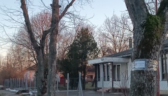 Završavanje seče stabala u Maloj Bosni