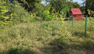 Dečji park u Aleksandrovu zakorovljen