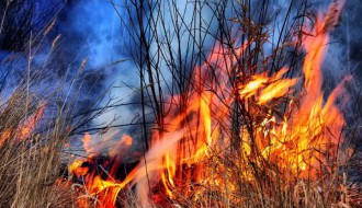 Loženje smeća na Makovoj sedmici