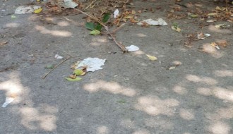 Smeće u centru grada