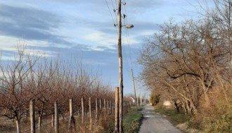 Bandera se njiše na vetru (Ulica muškatla)