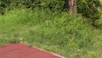 Održavanje igrališta u Aleksandrovu (Otmara Majera)