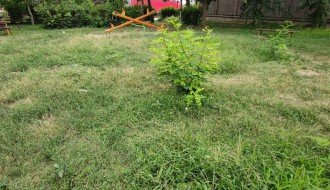 Održavanje igrališta u Aleksandrovu (Otmara Majera)