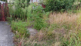 Nemar vlasnika kuća u ulici Pište Dankoa