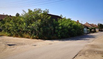 Zapuštena kuća, neprohodan trotoar, nepregledna i nebezbedna raskrsnica (Mohačka ulica)