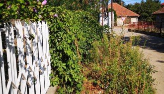 Zapuštena kuća, neprohodan trotoar, nepregledna i nebezbedna raskrsnica (Mohačka ulica)