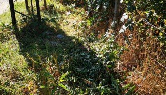 Zapuštena kuća, neprohodan trotoar, nepregledna i nebezbedna raskrsnica (Mohačka ulica)