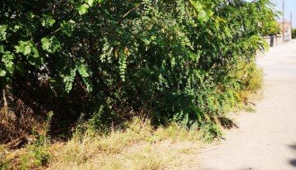 Zapuštena kuća, neprohodan trotoar, nepregledna i nebezbedna raskrsnica (Mohačka ulica)