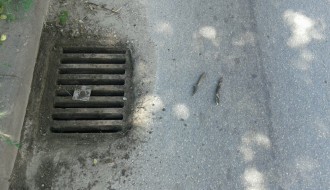 Odvodne rešetke na saobraćajnicama