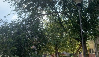 Savijena poveća grana ispred vrtića "Šumice"