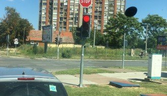 Ambrozija na Prozivci