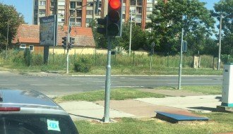 Ambrozija na Prozivci