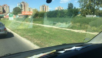 Ambrozija na Prozivci