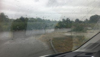 Ambrozija na Prozivci