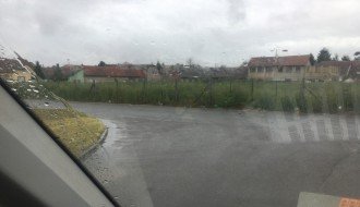 Ambrozija na Prozivci