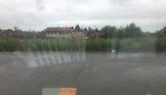 Ambrozija na Prozivci