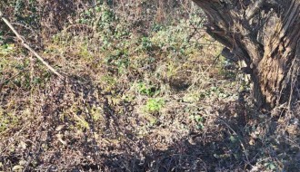 Divlja deponija na vojnom poligonu - Segedinski put