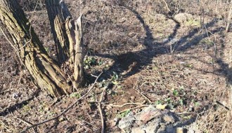 Divlja deponija na vojnom poligonu - Segedinski put