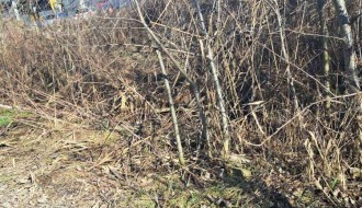 Divlja deponija na vojnom poligonu - Segedinski put