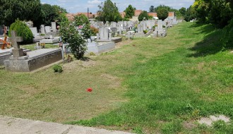 Bajsko groblje-slika nesposobnosti grada