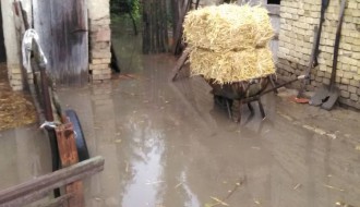 Izlivanje kanalizacije u dvorišta