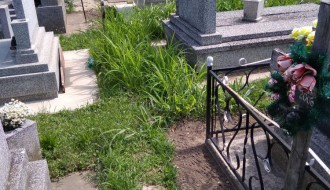 Kersko groblje - zaraslo u travu i korov