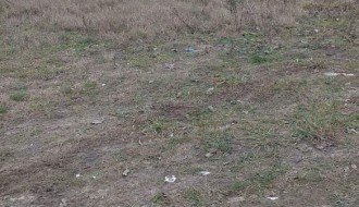 Deponija kraj puta u Srpskom šoru