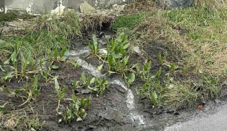 Fekalni otpad na ulici (ulica Dragutina Domjanića)