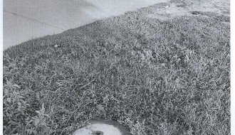 I dalje su otvorene šahte u Bajmoku