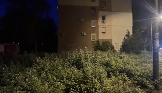 Zarastao ugao u Zetskoj ulici, klupa se skoro ne vidi