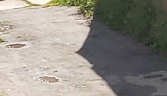 Košenje trave u Ohridskoj i Petrijskoj