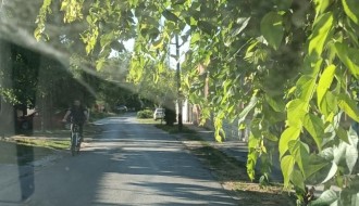 Rastinje na putu (Tolstojeva ulica)